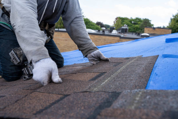Gutter Installation and Roofing in Madison, FL